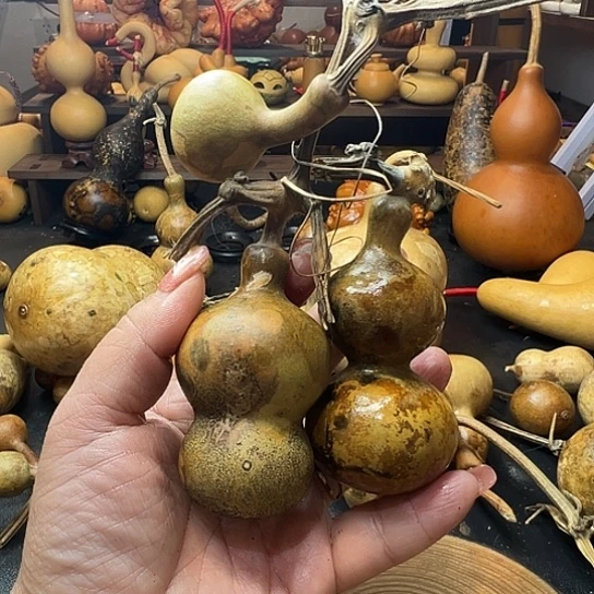 9***叔葫芦葫芦葫芦葫芦