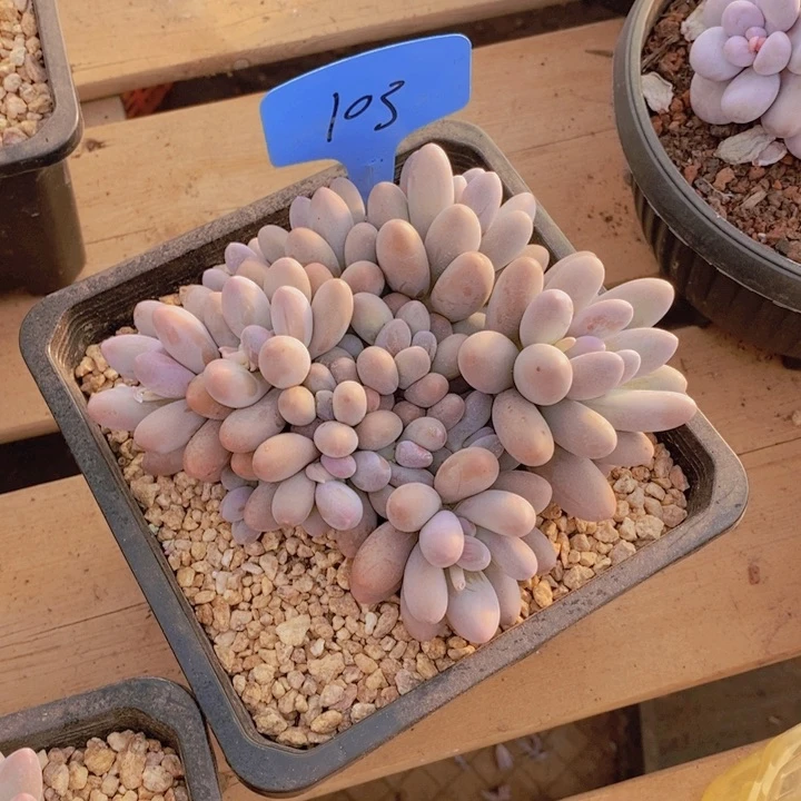 萱**r这样做不就不对啊