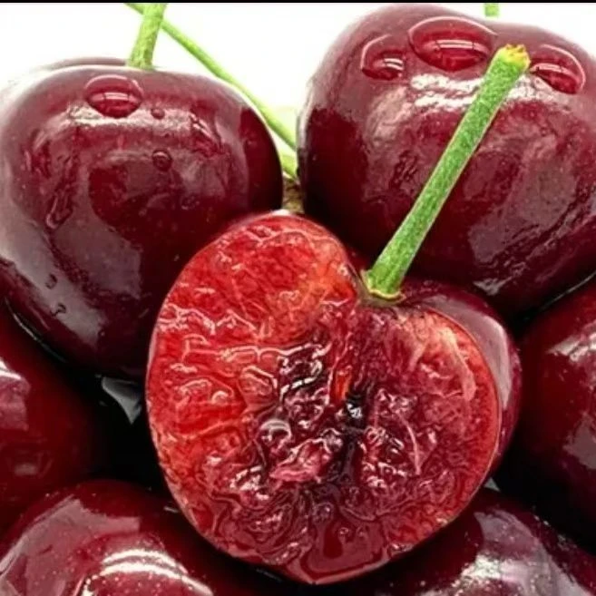 【新鲜樱桃次日达】天水套袋车厘子大樱桃直径26mmJJg左右新鲜孕妇水果次日达新鲜水果车厘子