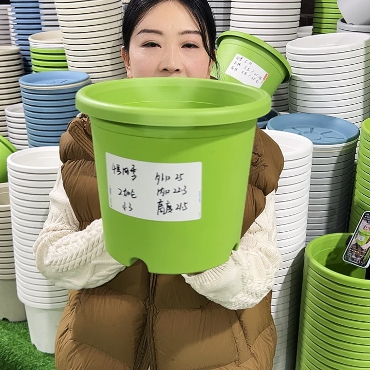 特价4号四季口25高21.5白色8只无托