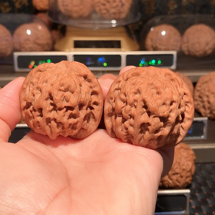 文玩核桃把件雪狮43尺