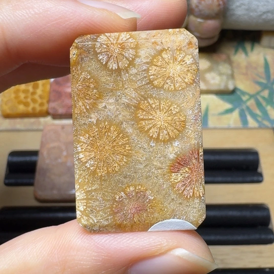 硅化玉大眼睛花花，黄飘红未镶嵌