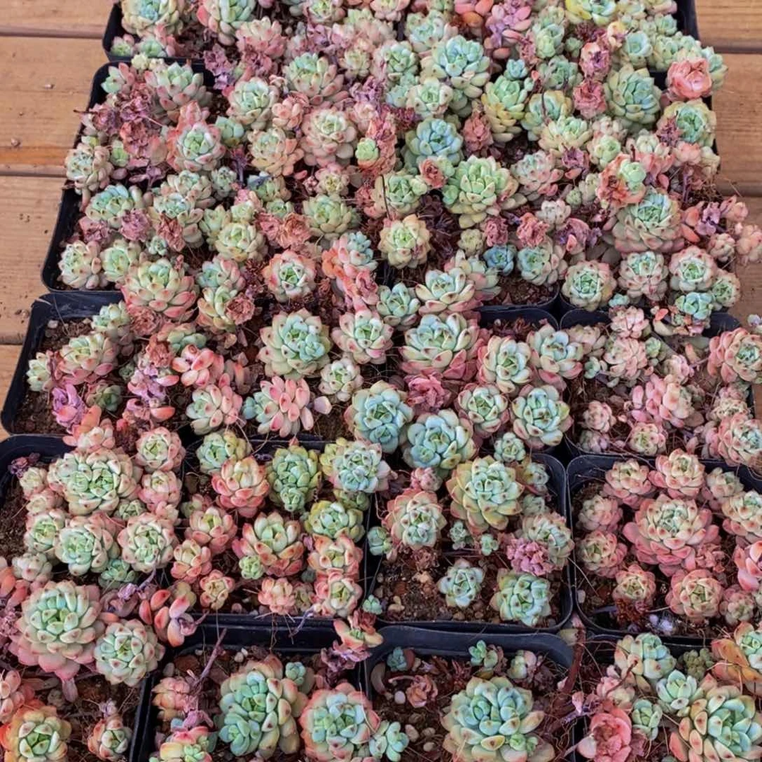 788的人在一起的时候就会觉得自己