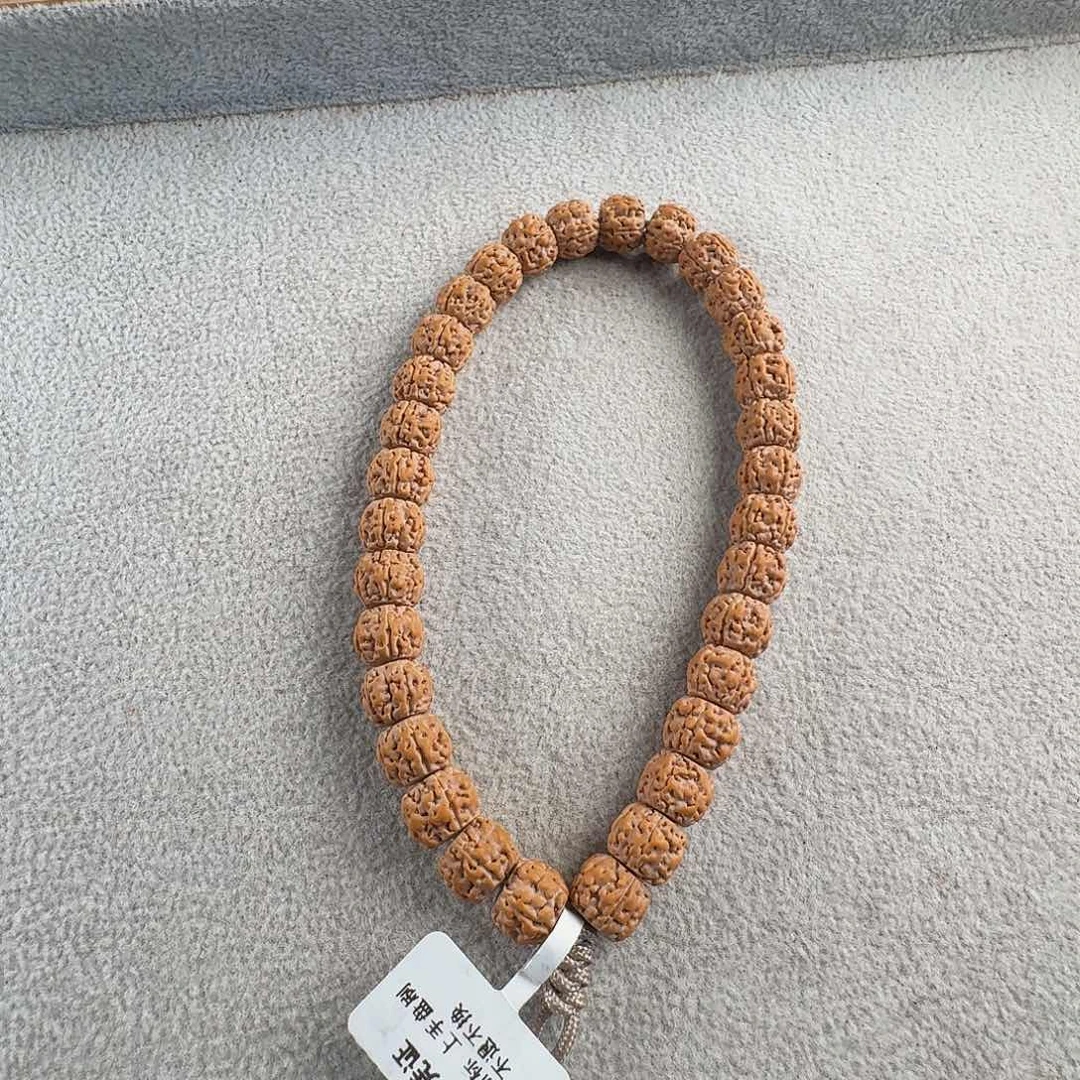 金刚菩提吊坠1.0纯血一代龙