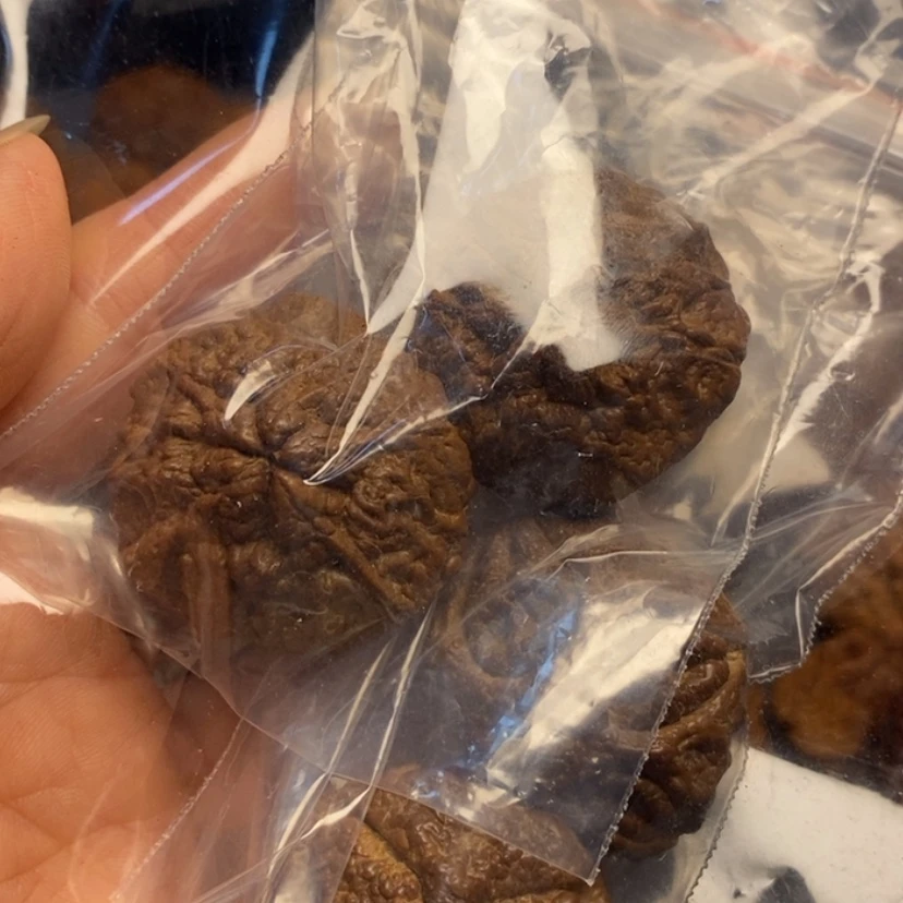 【闪购商品】手串/手链核桃糊**仙核桃