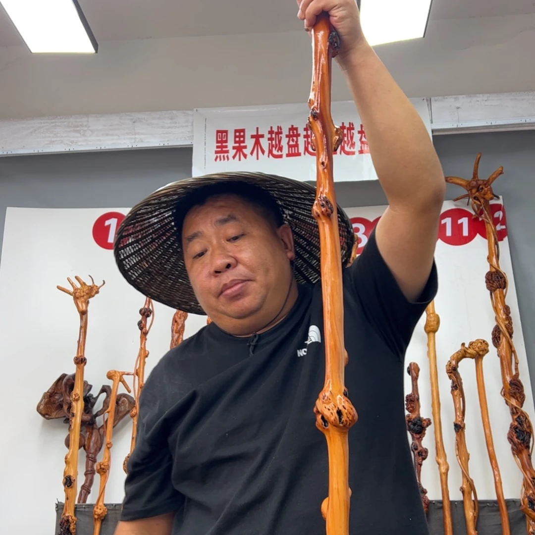 卫***士黑果木其他黑果木538