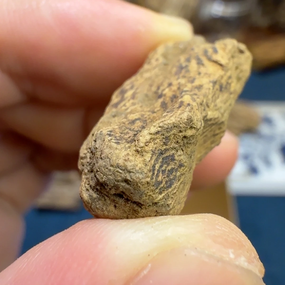 沉香兰卡红土虎斑