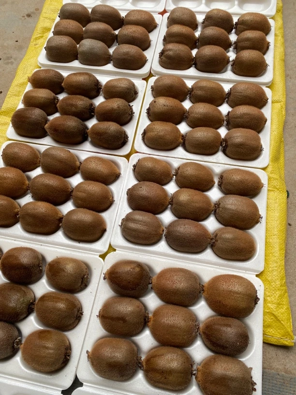 【130-180克】陕西绿心徐香猕猴桃应季水果新鲜香甜多汁坏果包赔