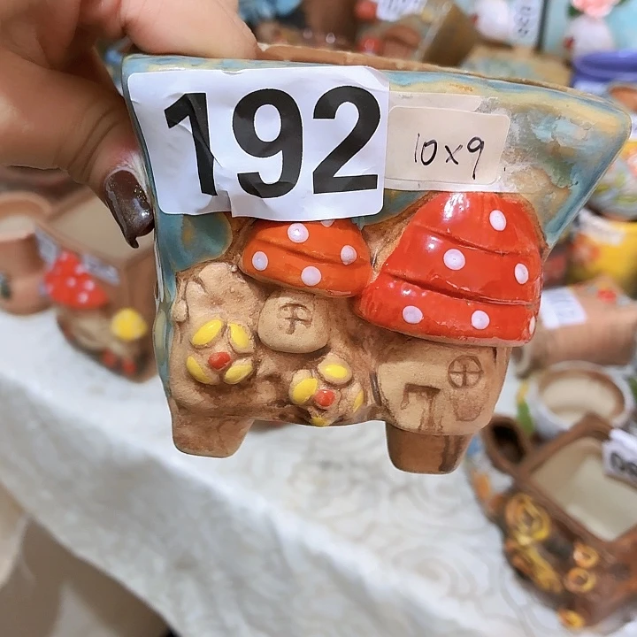 多肉花盆满15包邮