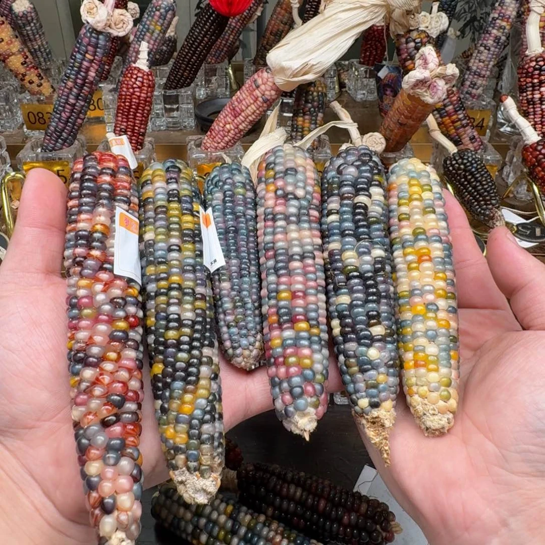 柏香籽/百香籽吊坠J****e