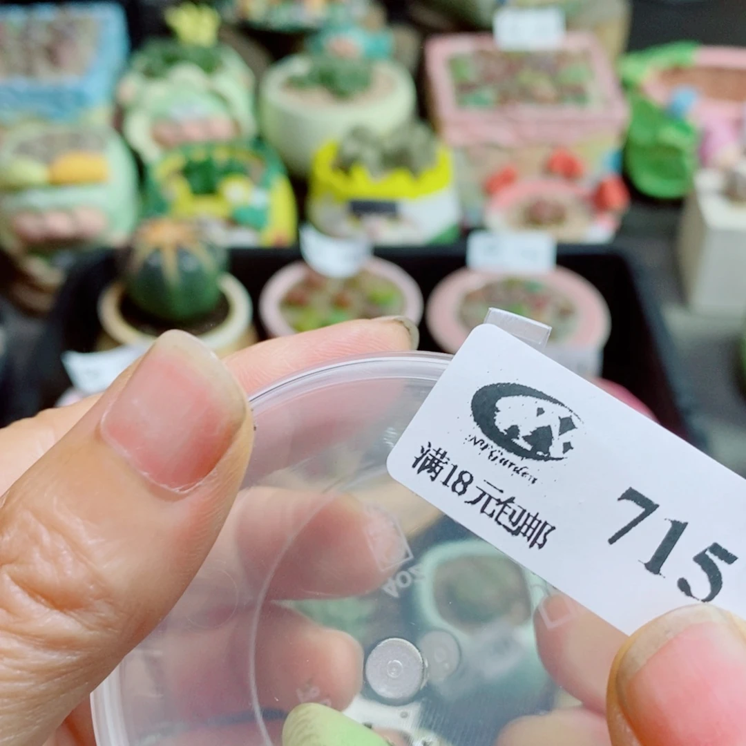 暖***O生石花花花哈哈哈哈哈哈715