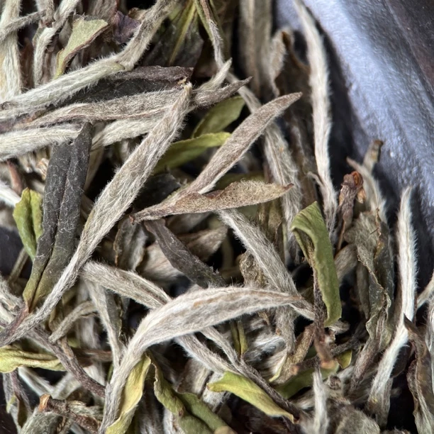 【2019年幽蘭】福鼎白茶特级牡丹 毫香蜜韵兰花香 磻溪镇60克/罐