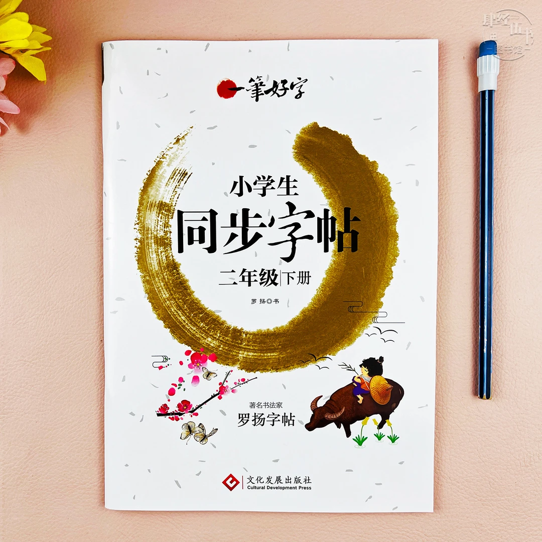 人教版二年级下册同步练字帖语文写字训练二年级练字帖一笔好字
