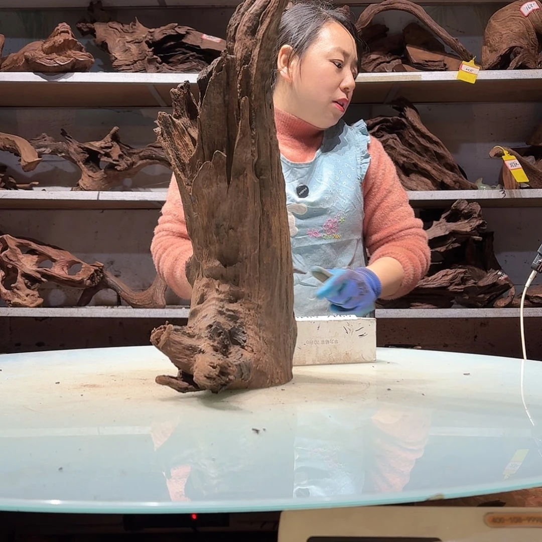 倍褚沉木不包损必褪色Y*5931