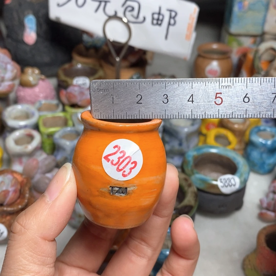 拍5送一个小礼物