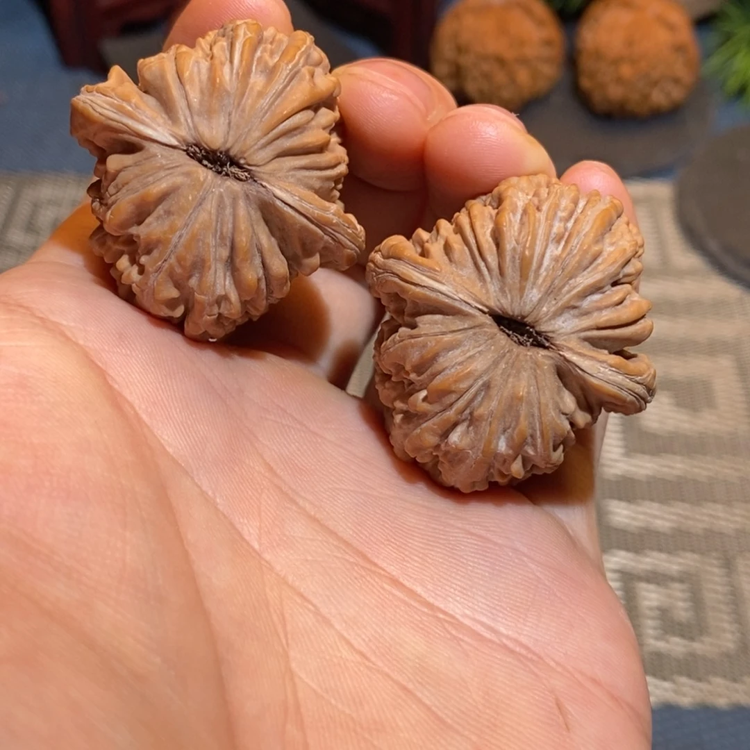 37尺 全品无修白茬 开播福利 四座楼