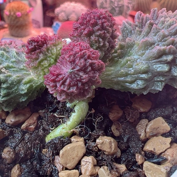 追*有点忙不知道怎么就睡下