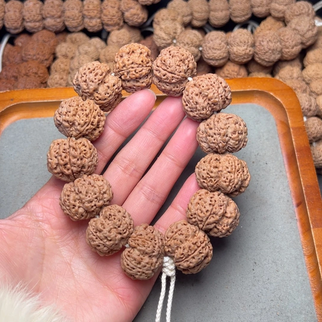 菩提23号金刚菩提双龙梅花25