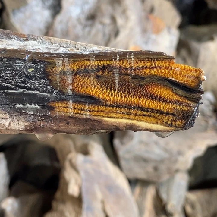 随***缘贡木把件定制不退不换