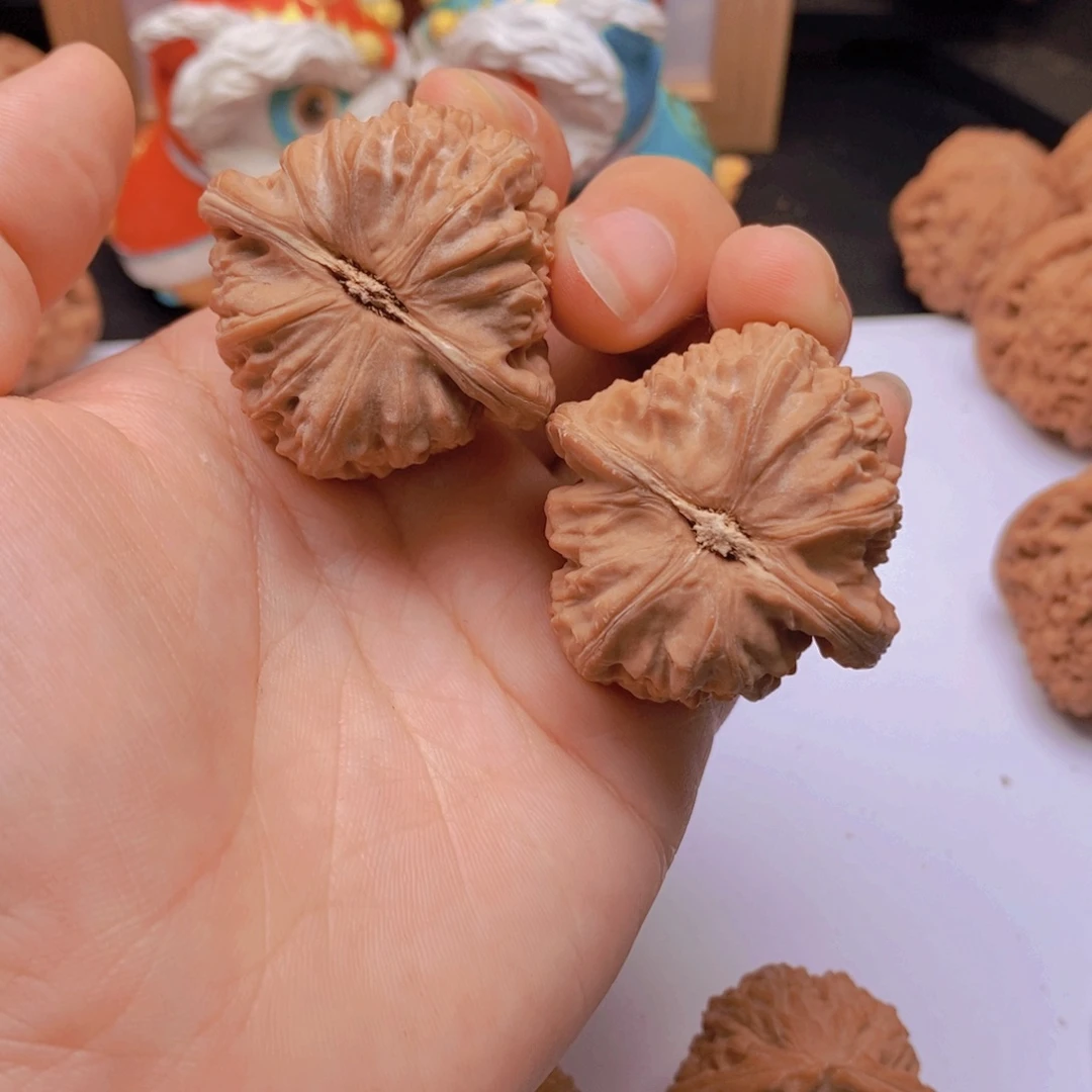 38尺老树三角白全品