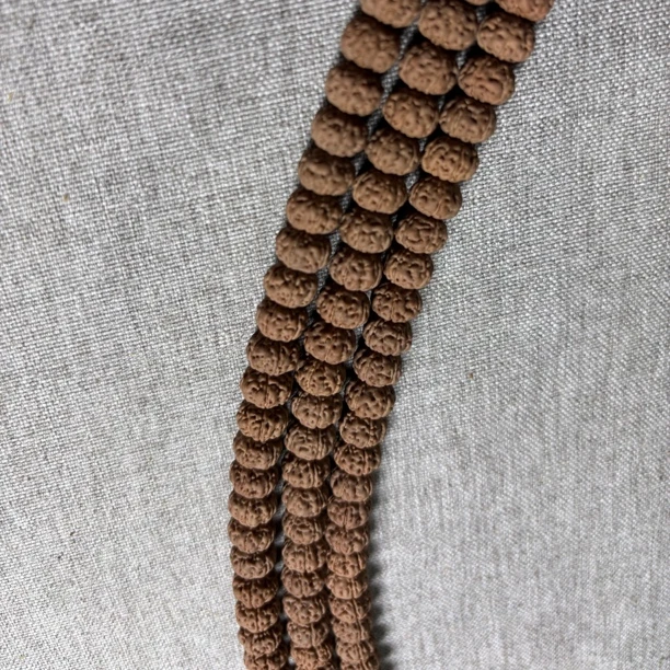 【收藏级别】纯血老树王，一步到位