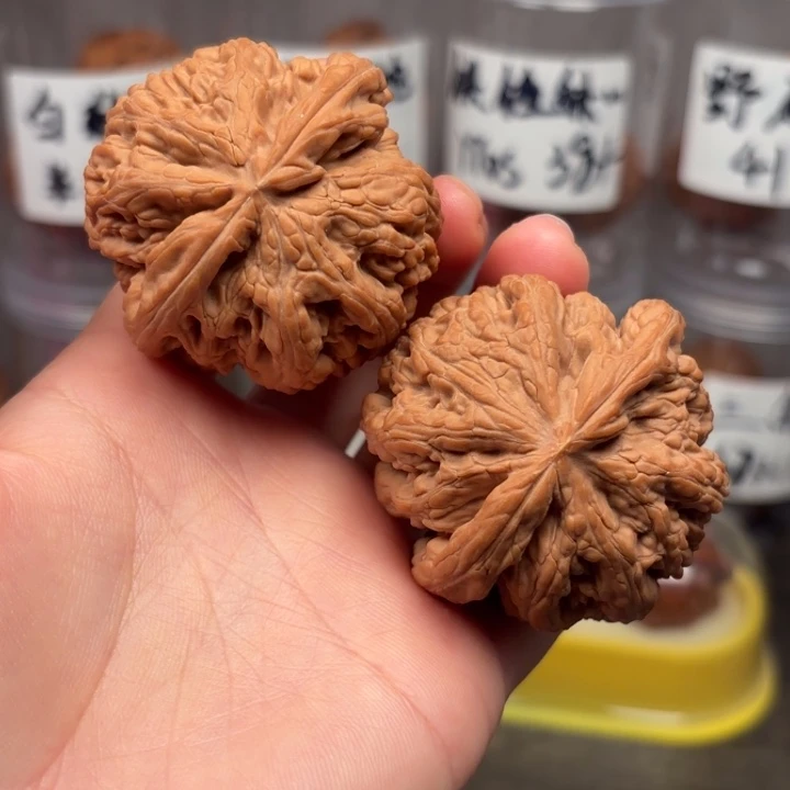 吊坠桃核49粗筋11111