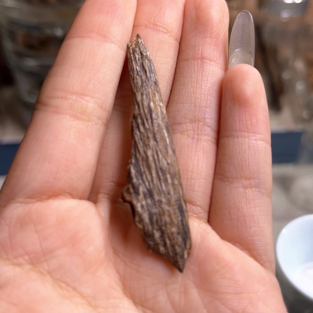 香料海南大山树心1.7克