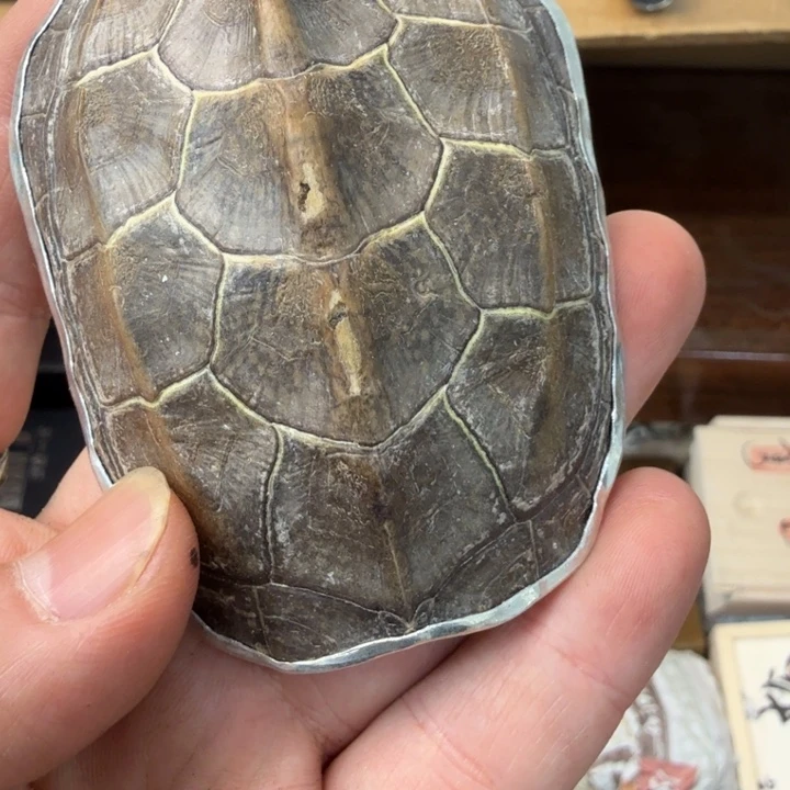 闪购商品多样性发一