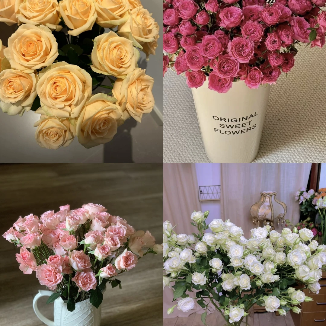 【新品组合】香槟10支+3支多头帝王花