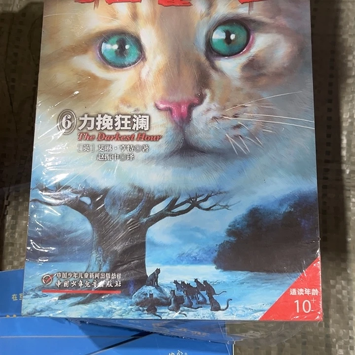 猫武士首部曲。