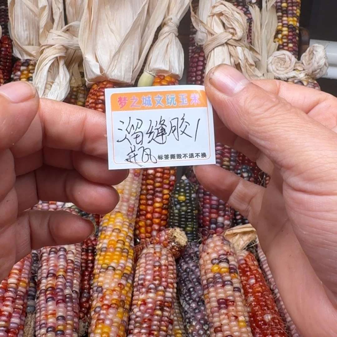 蒙***妖吊坠柏香籽/百香籽