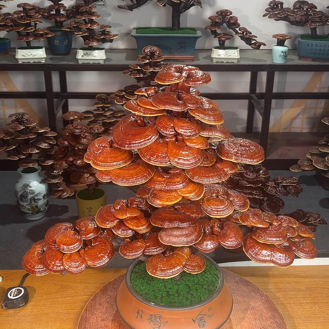 无花朵万事如意88888888888888888