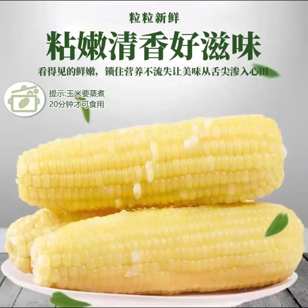 【试吃4根】铝箔大棒香甜白糯玉米整箱12根F