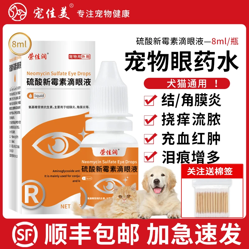 猫咪眼药水眼睛发炎流泪新霉素滴眼液结膜炎泪痕猫鼻支狗狗泪痕
