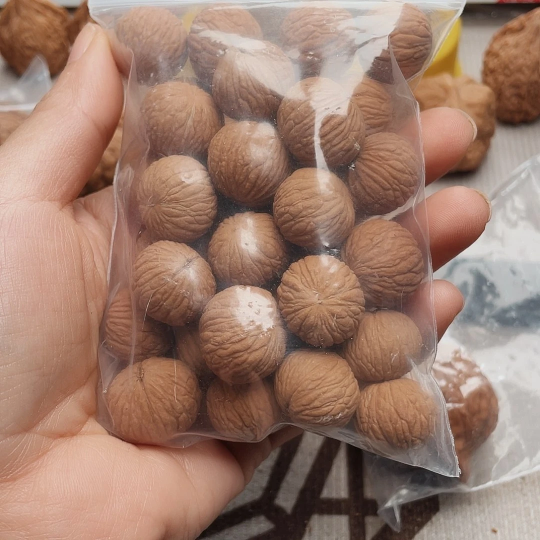 凤羽之恋之光系列第十五