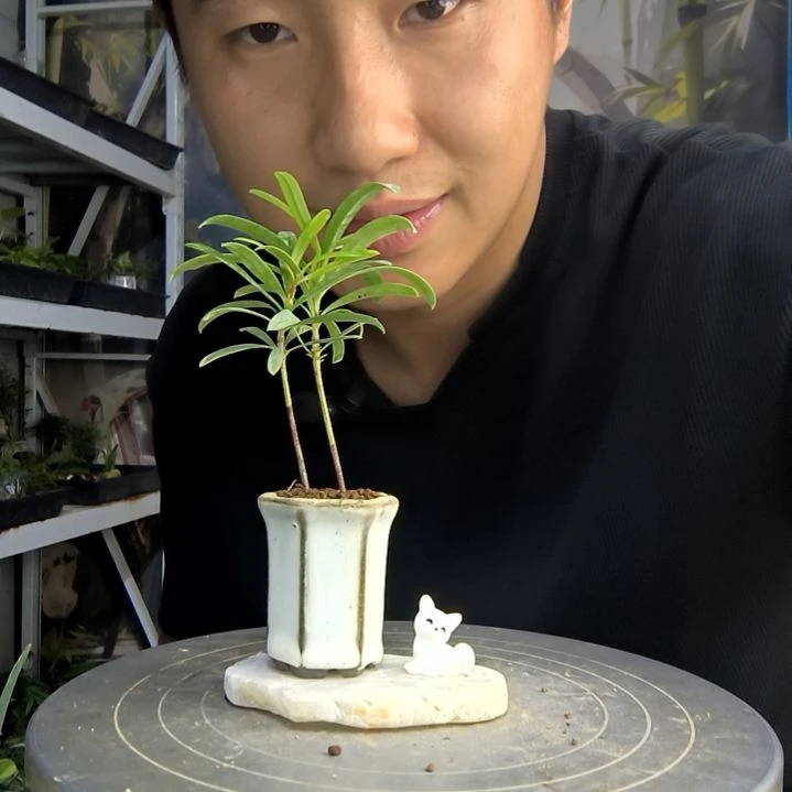 苦*中青园艺一物一拍148