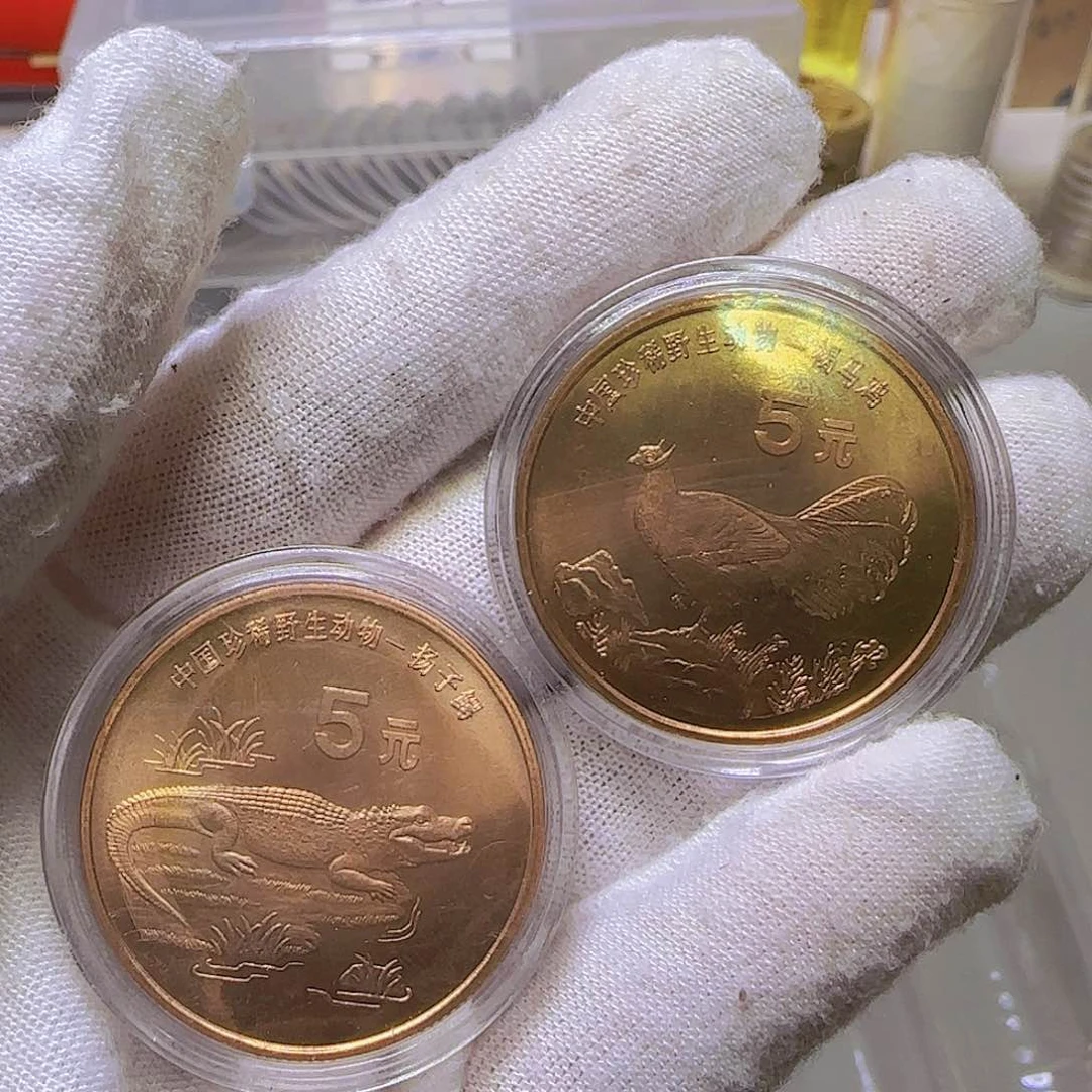 鸡鳄纪念币多肉一对福利