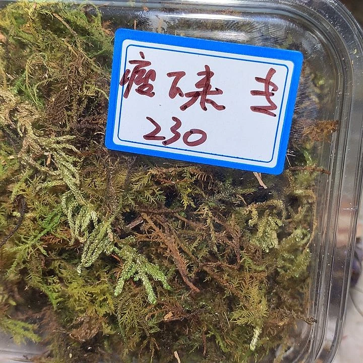 瘦下来专拍奔跑家