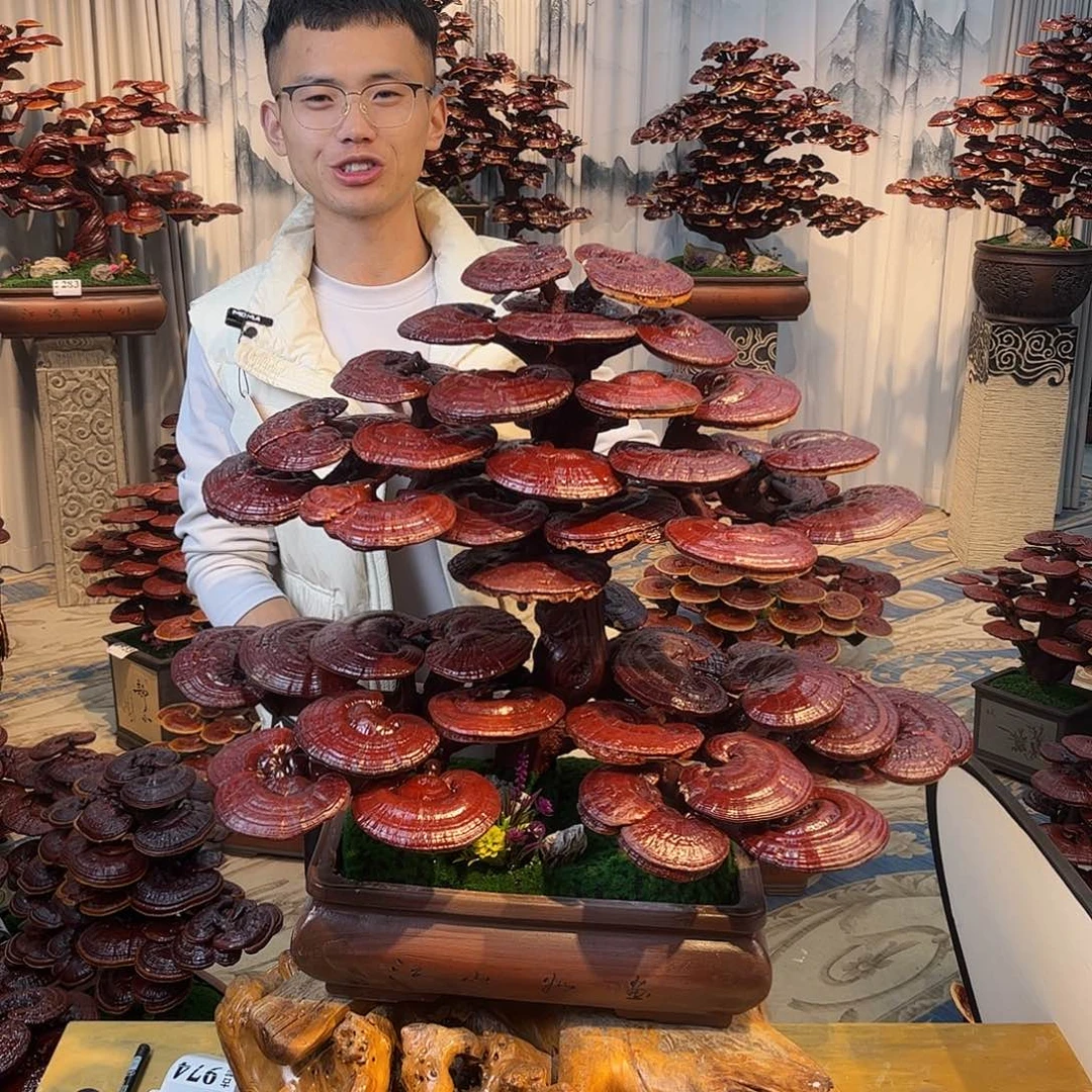 无花朵888888888888