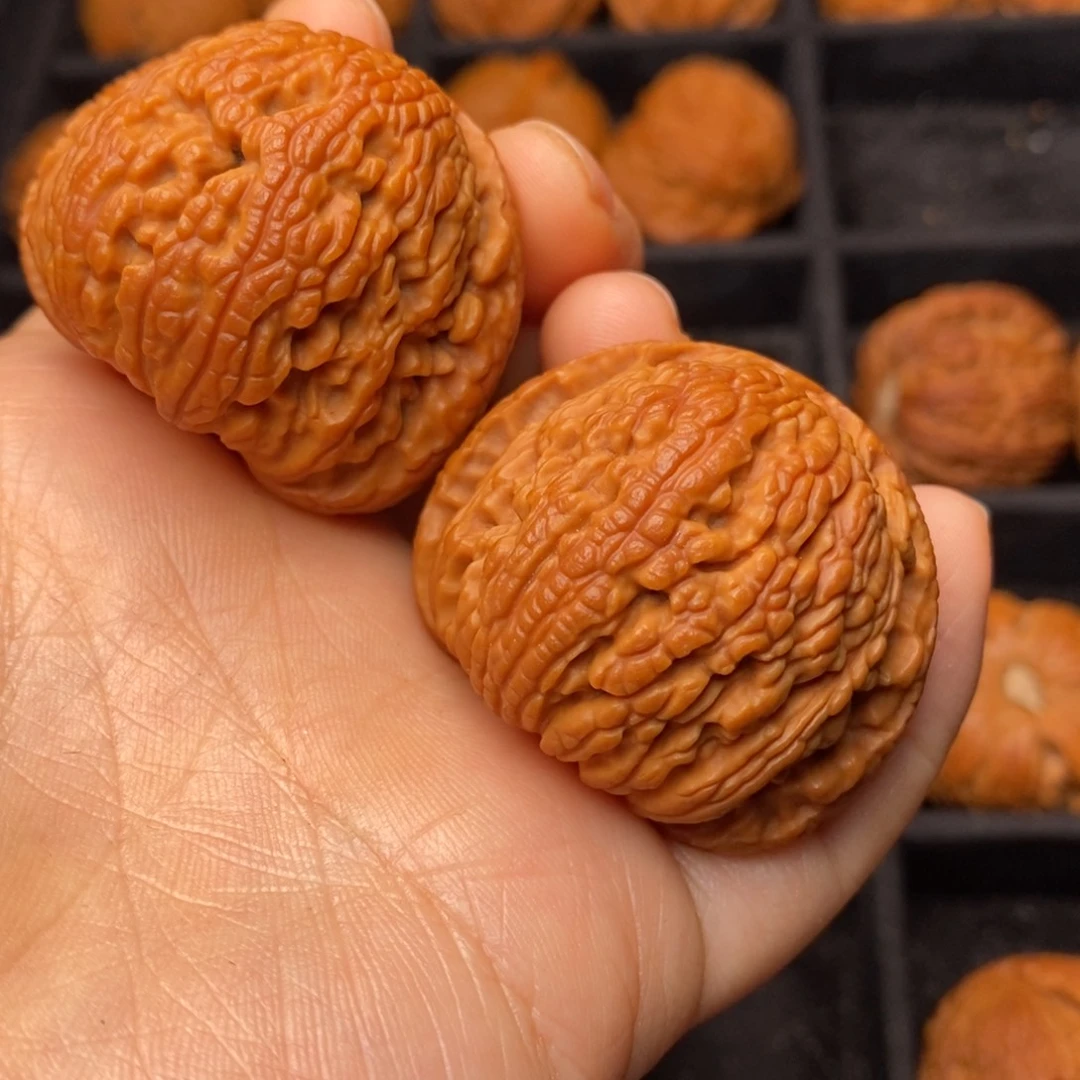 秦岭野生文玩核桃