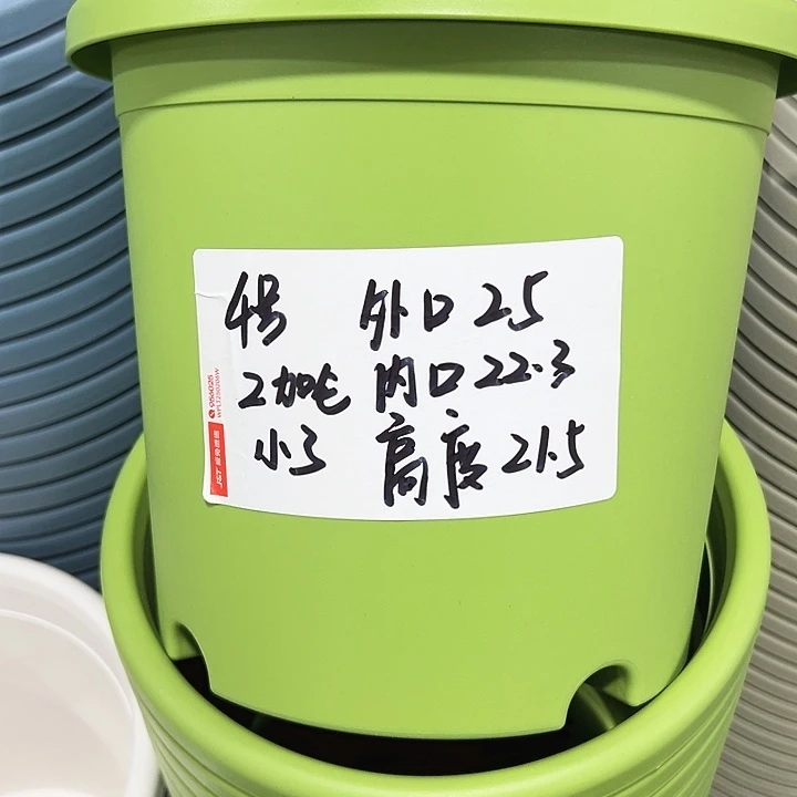 特价4号四季口25高21混色8个无托