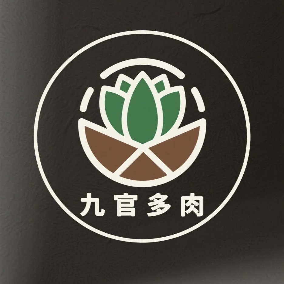 3号链接J-按编号拍 多肉一物一拍