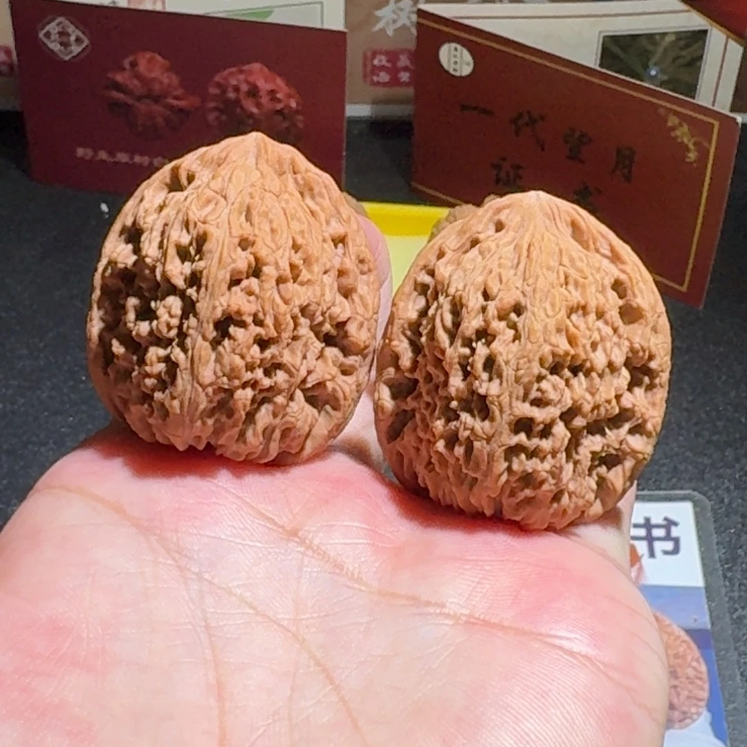 高炮三角逐鹿南疆编号312