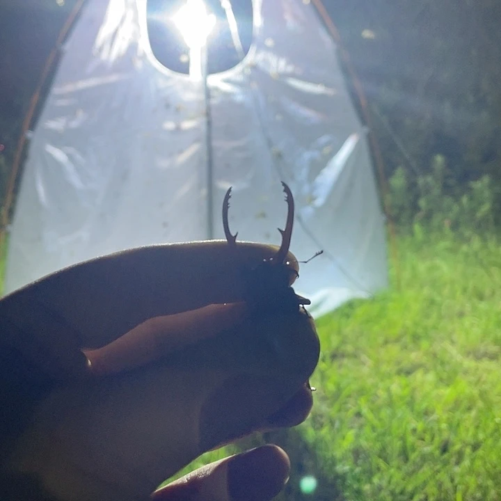 充个话费好过分并不会刮擦VB爸爸v