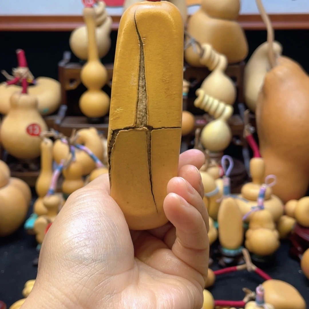乐*大自然的秘密第十一章第一节