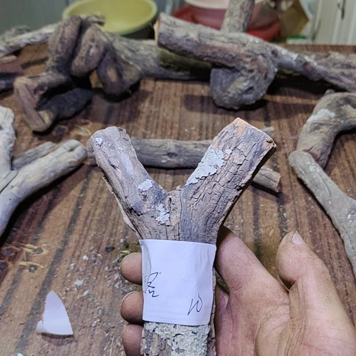 过***客火琉璃原杈不保沉水慎拍！