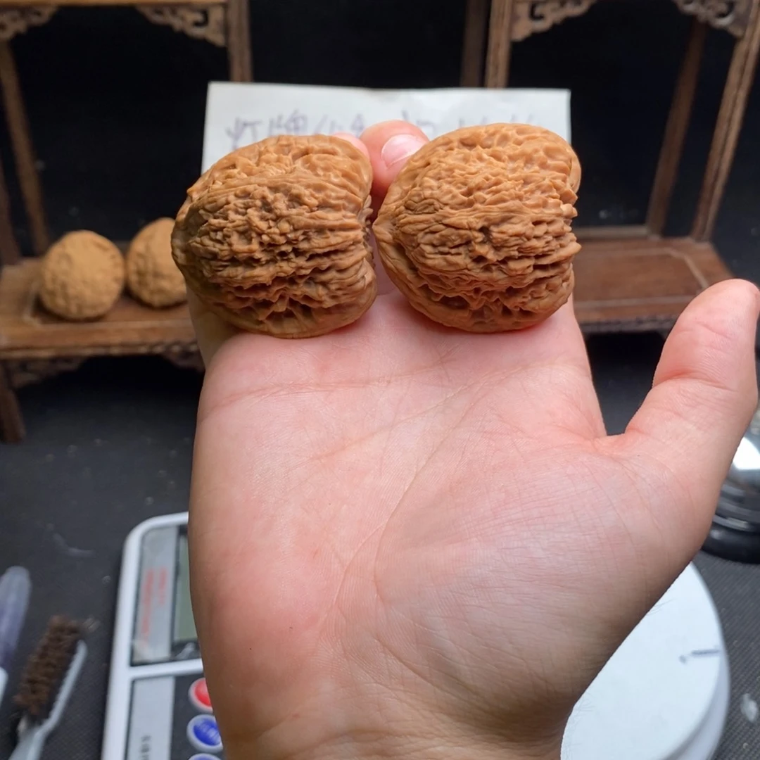 念**达涿鹿县南疆石核桃