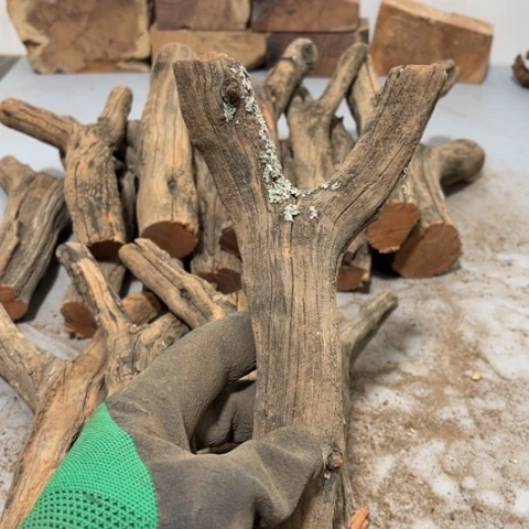 大果紫檀（缅甸花梨）曾***诺