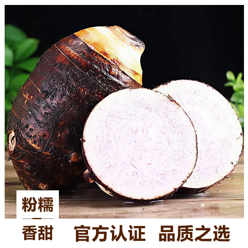 【产地直发】广西正宗荔浦芋头新鲜现挖粉香糯皮薄粉嫩农产品大芋头