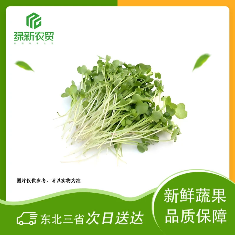 (萝卜苗) 约100g±10g/份萝卜苗